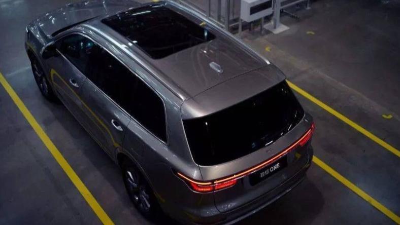 理想汽车,当心反被“理想”误?